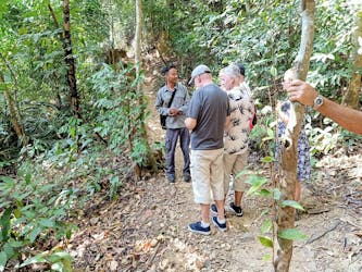 Trekking dans la jungle de la forêt tropicale de Langkawi